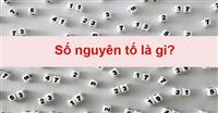 Số nguyên tố là gì? Ứng dụng của số nguyên tố trong đời sống